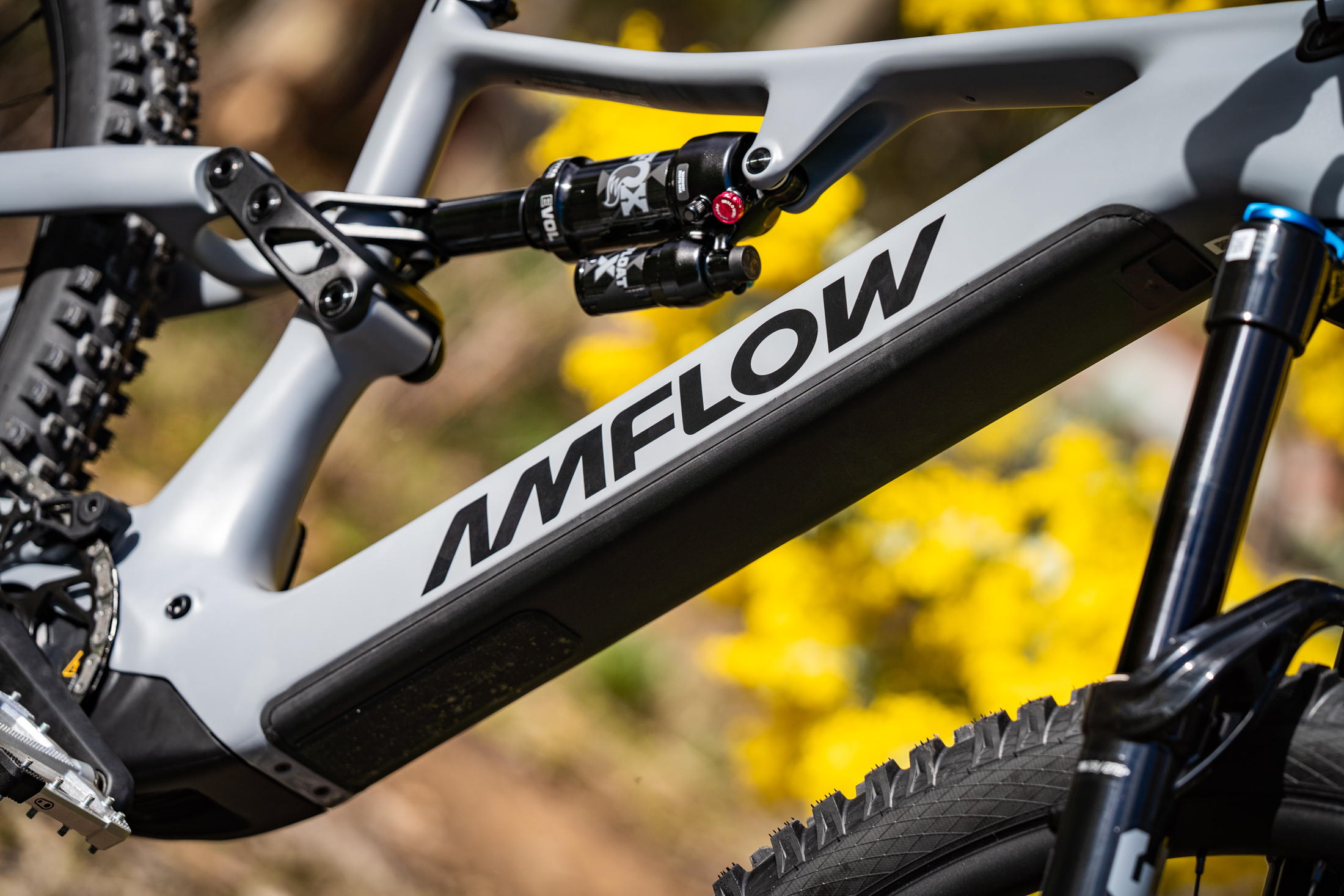 amflow pr carbon pro avinox m2s